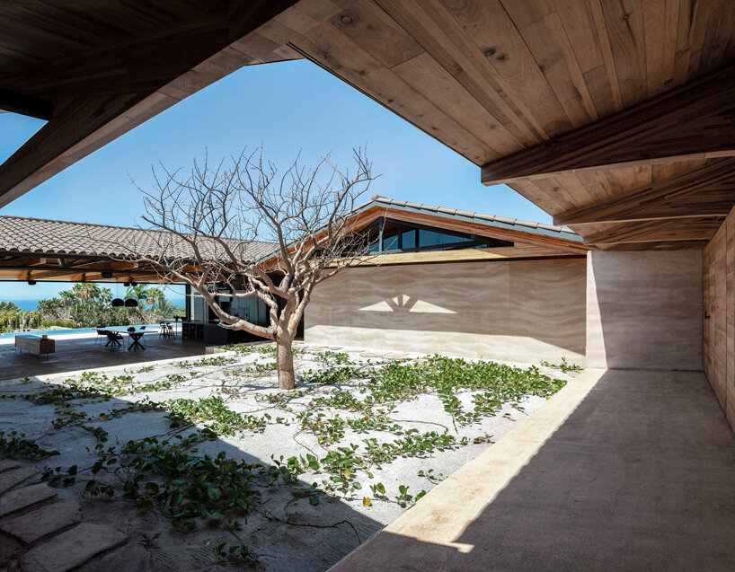 dellekamp arquitectos nestles cabo house into the mexican coastline designboom