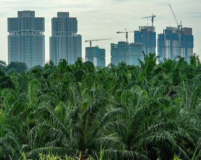 unfinished towers coexist with malaysia's tropical landscape in this photo series