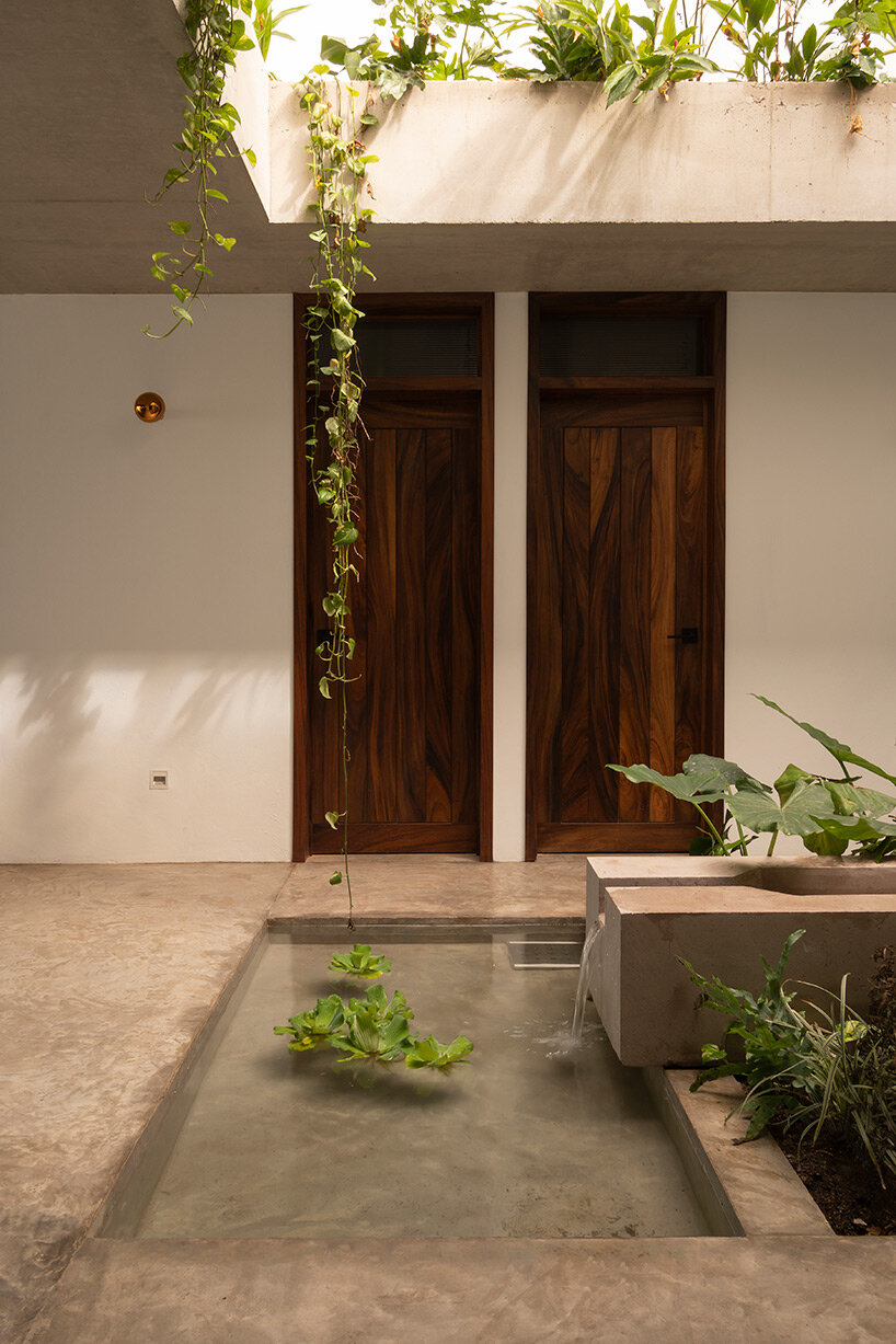 PALMA mirlo house mexico