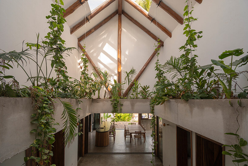 PALMA mirlo house mexico