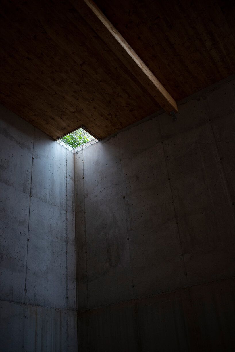 rever drage zieglers nest