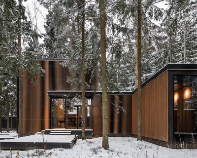 buro511 completes its roma house among the forests outside moscow