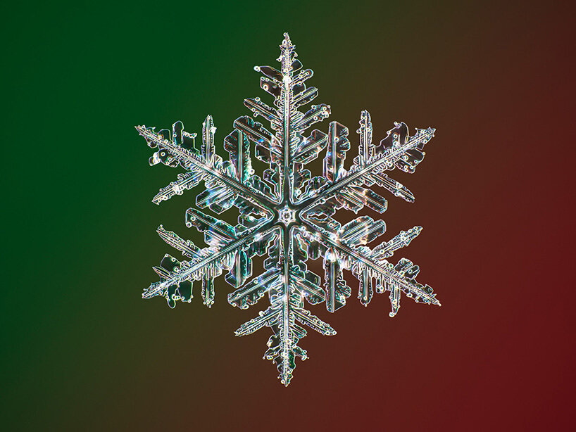 displayhunter: Louis Vuitton: Snowflakes formation