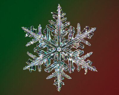 the world's highest-resolution snowflake camera captures the intricate beauty of ice crystals