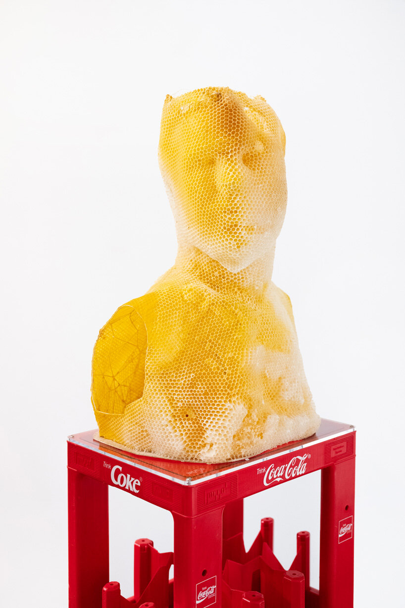 tomáš libertíny sculpts beeswax version of the nefertiti bust together with 60.000 honeybees
