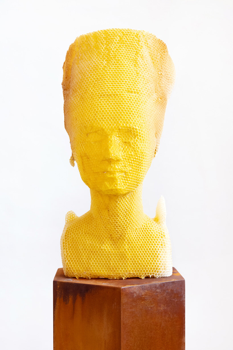 tomáš libertíny sculpts beeswax version of the nefertiti bust together with 60.000 honeybees