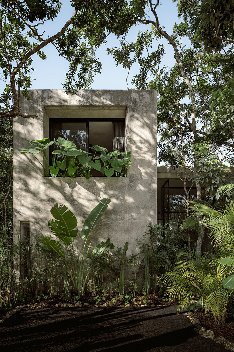 casa aviv by CO-LAB discretely occupies its jungle plot in tulum, mexico
