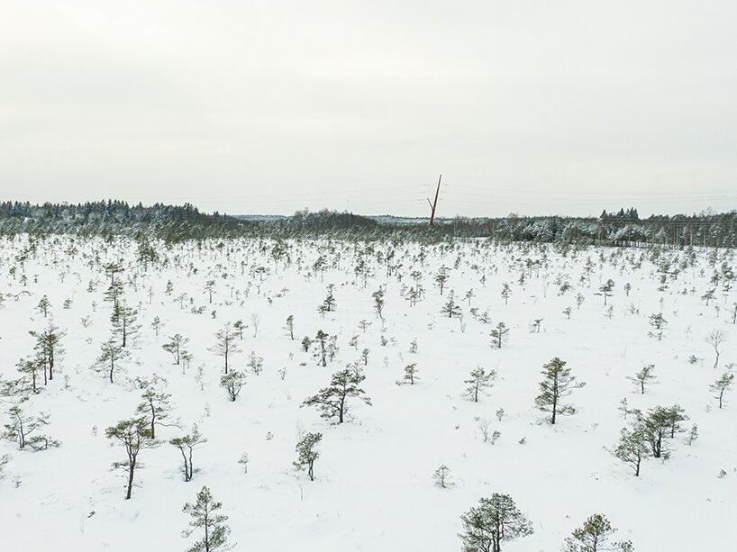 PART architects bog fox