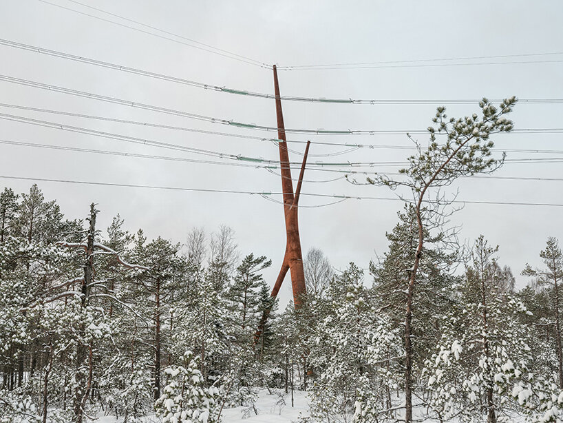 PART architects bog fox