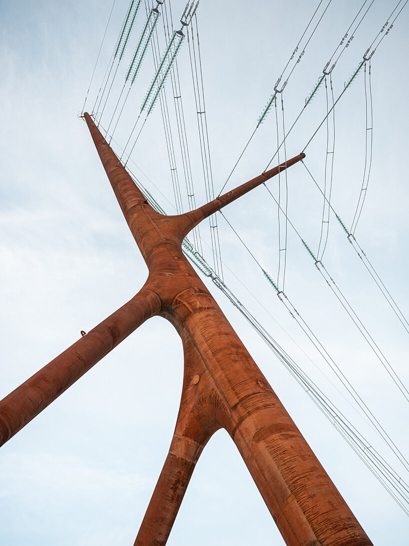 PART architects bog fox