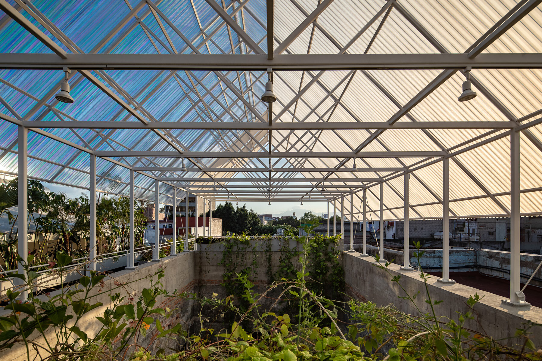PRODUCTORA-rooftop-prim-mexico-city-designboom-1800b