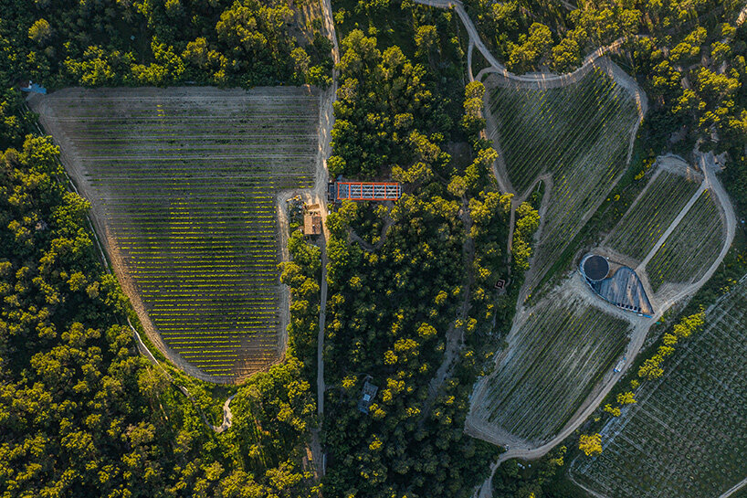 richard rogers drawing gallery