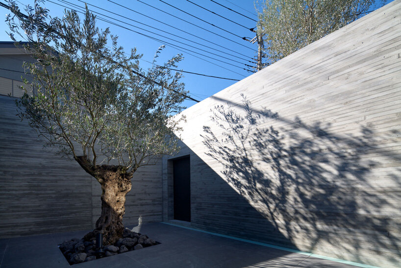 apollo architects & associates develops 'noble house' in japan around verdant garden