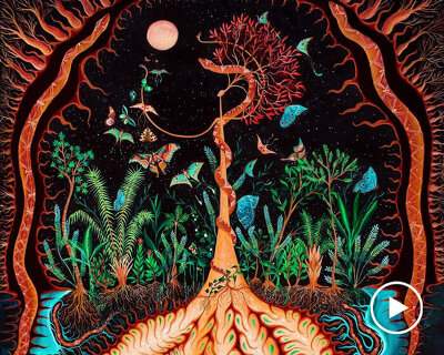 explore the magical, spiritual significance of plants to human life in 'the botanical mind'