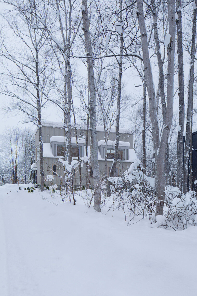 CASE-REAL blends 'chalet W' into the wooded landscape of japan's niseko ski resort