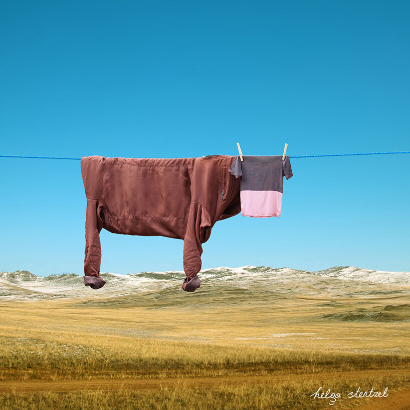 helga stentzel hangs clothes to create surreal farm animal illusions