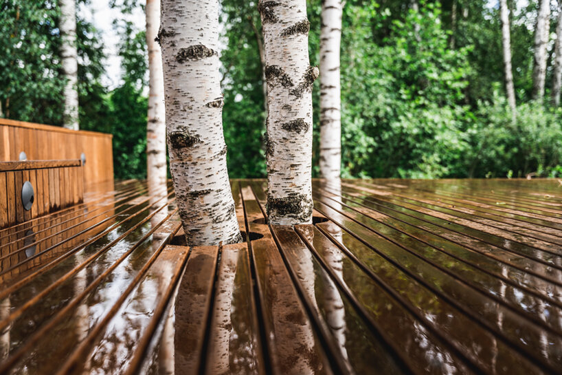 maidla nature villa estonia