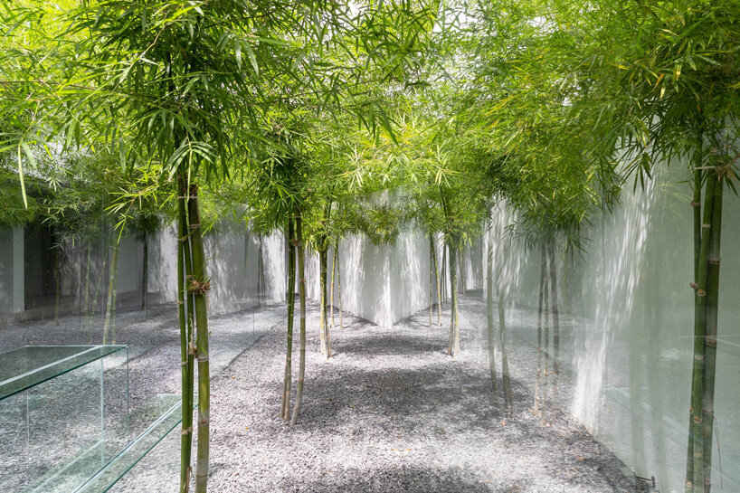 MIA design studio builds own office in vietnam as open plan volume wrapped in greenery