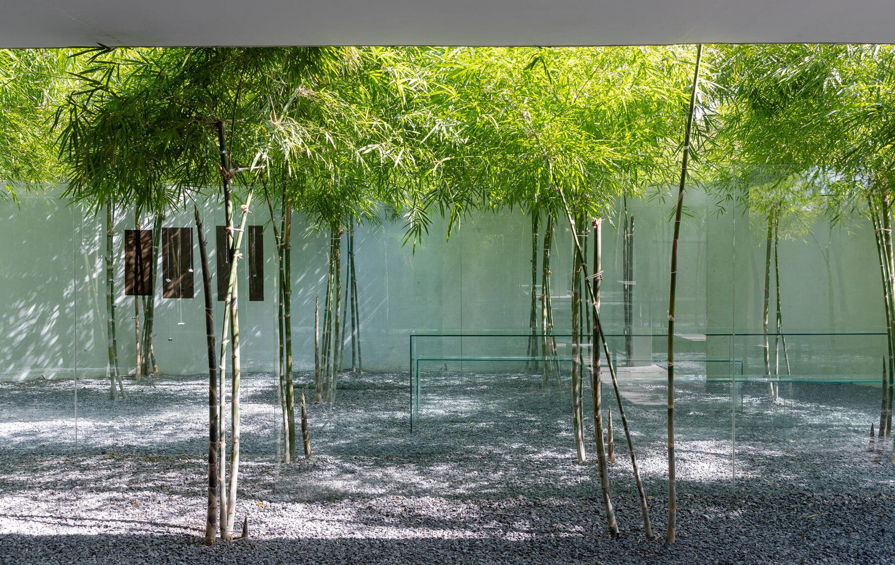 MIA design studio builds own office in vietnam as open plan volume wrapped in greenery - 2