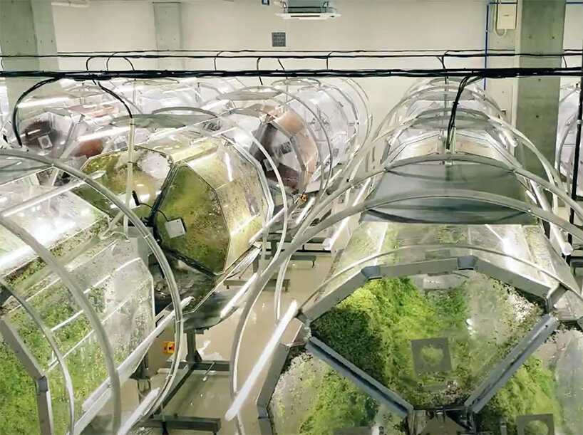 japan opens the super sprout factory, a completely artificial light type plant factory