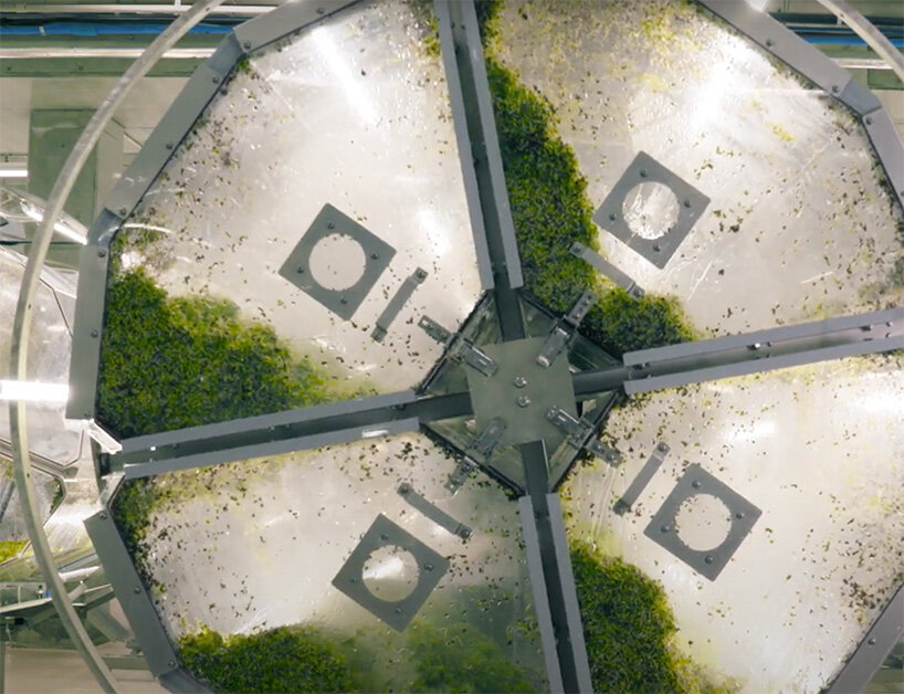 japan opens the super sprout factory, a completely artificial light type plant factory