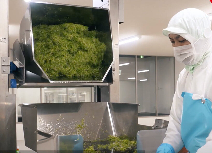 japan opens the super sprout factory, a completely artificial light type plant factory