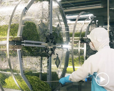 japan opens the super sprout factory, an artificially-lit type plant factory