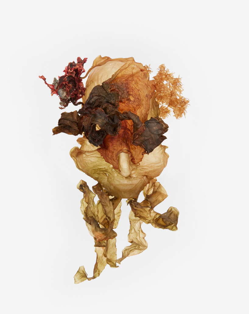 katrín thorvaldsdottir sculpts intricate masks using raw organic kelp from the icelandic ocean - 6