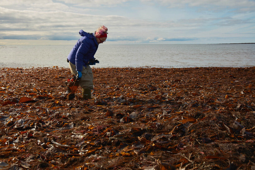 katrín thorvaldsdottir sculpts intricate masks using raw organic kelp from the icelandic ocean