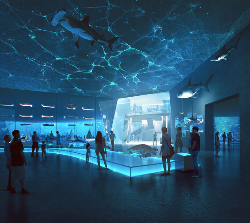 OPEN shenzhen icebergs