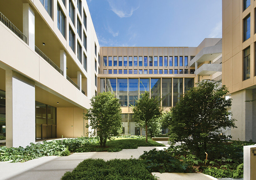 grafton architects university building paris