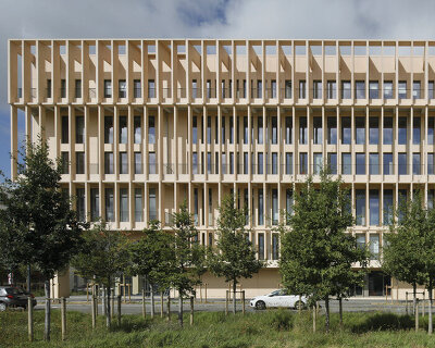 grafton architects articulates university building in paris around large 'garden room'