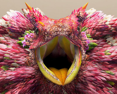 flower petals form fantastical exotic animals in josh dykgraaf's painstaking photomontages