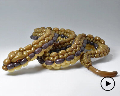 masayoshi matsumoto teaches how to create realistic animal sculptures, using balloons only
