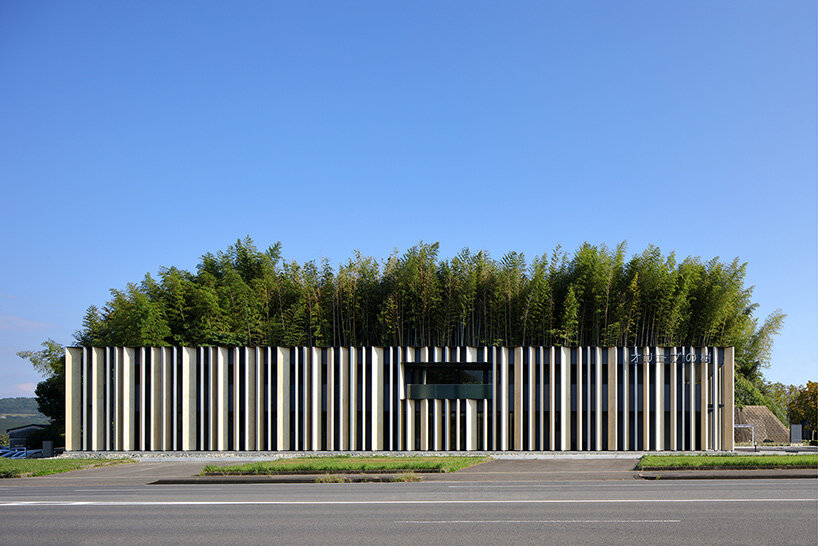 matsuyama architect olive tree