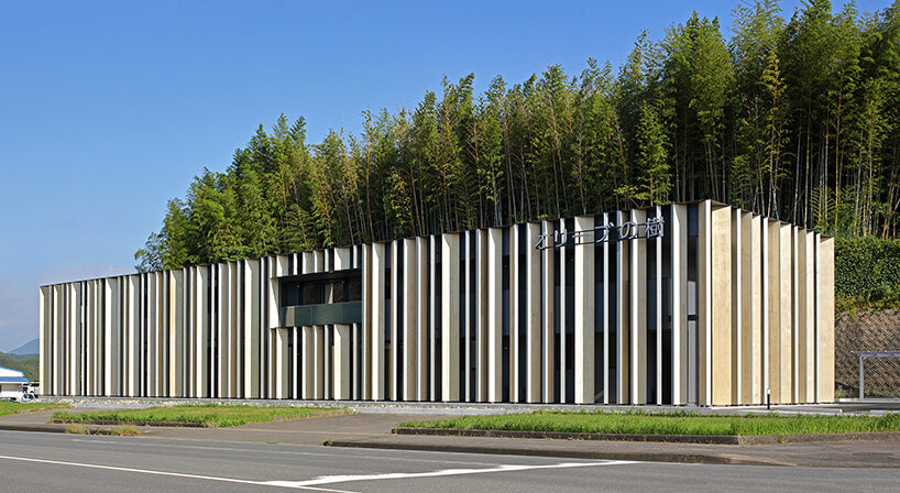 matsuyama architect olive tree