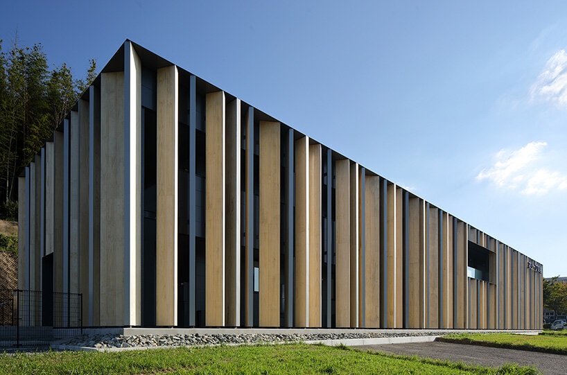 matsuyama architect olive tree