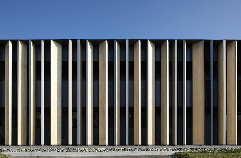 matsuyama architect olive tree