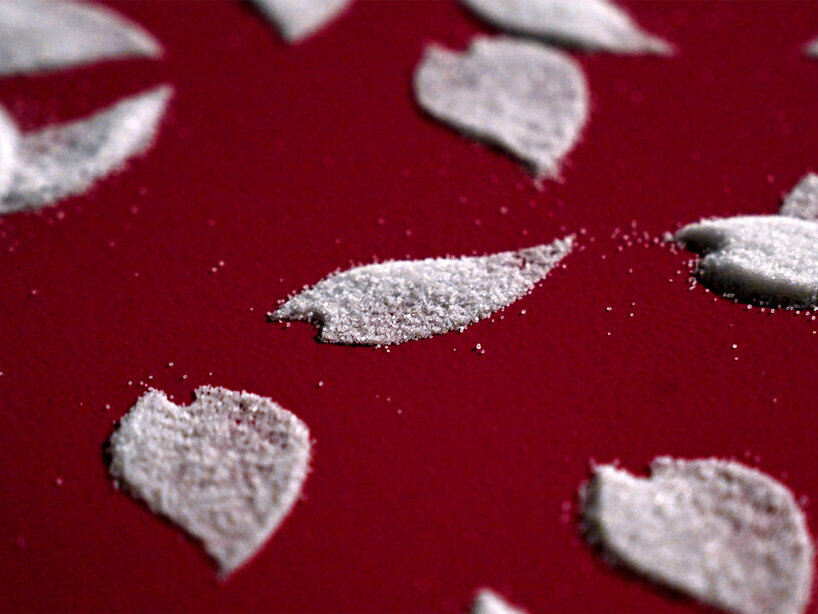 motoi yamamoto installs 100.000 salt cherry blossom petals at setouchi city art museum