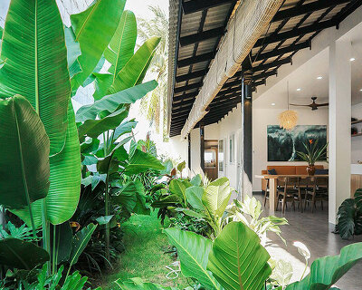 a lush tropical garden lines banh cam's country house in tây ninh, vietnam