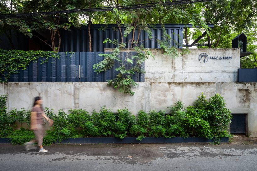 trees populate walllasia's mac & ham house in bangkok designboom