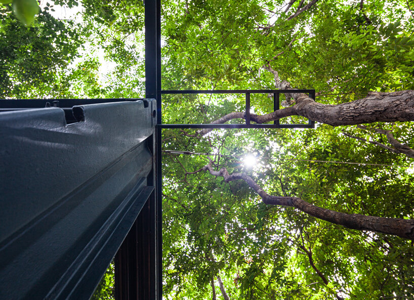 trees populate walllasia's mac & ham house in bangkok designboom