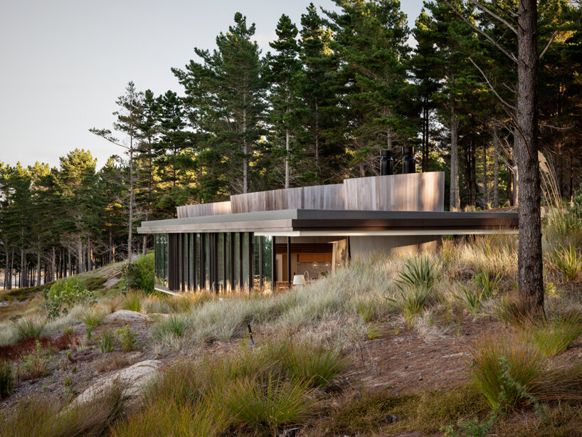 cheshire architects fielding house new zealand designboom