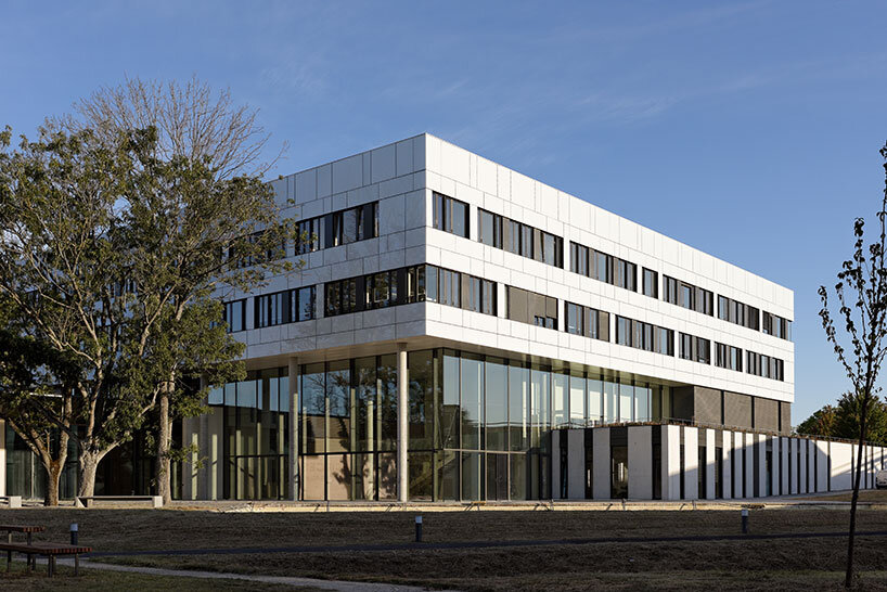 dietmar feichtinger neuroscience institute