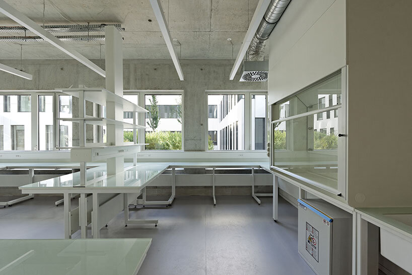 dietmar feichtinger neuroscience institute