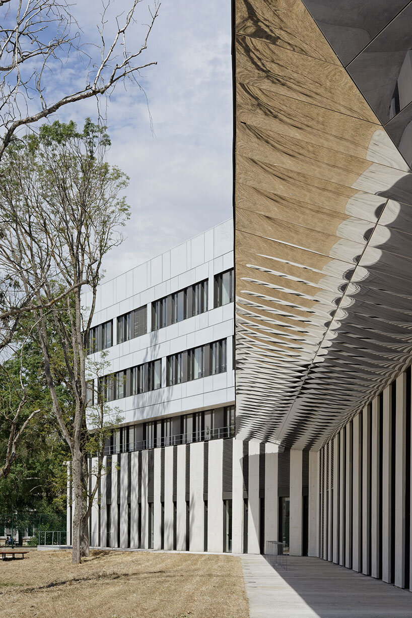 dietmar feichtinger neuroscience institute