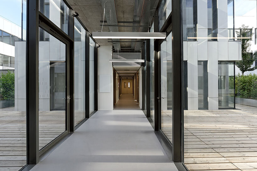 dietmar feichtinger neuroscience institute