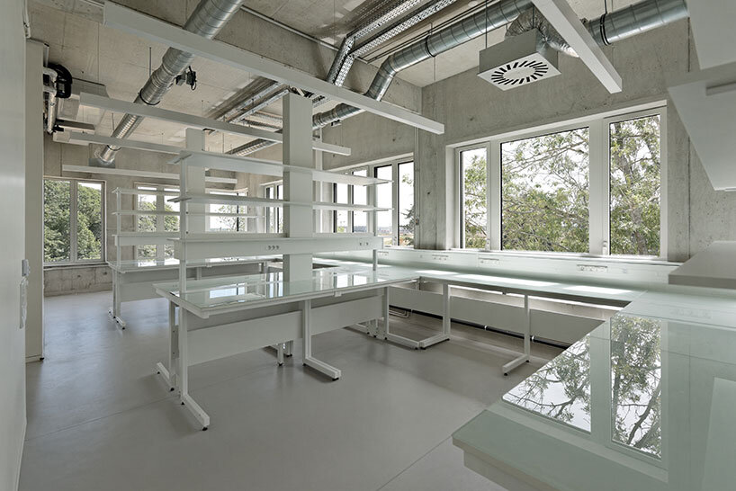 dietmar feichtinger neuroscience institute