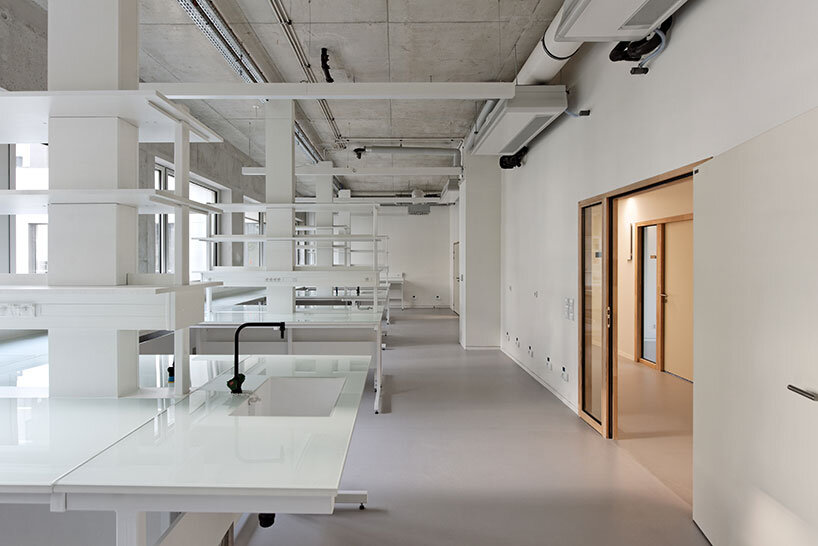 dietmar feichtinger neuroscience institute