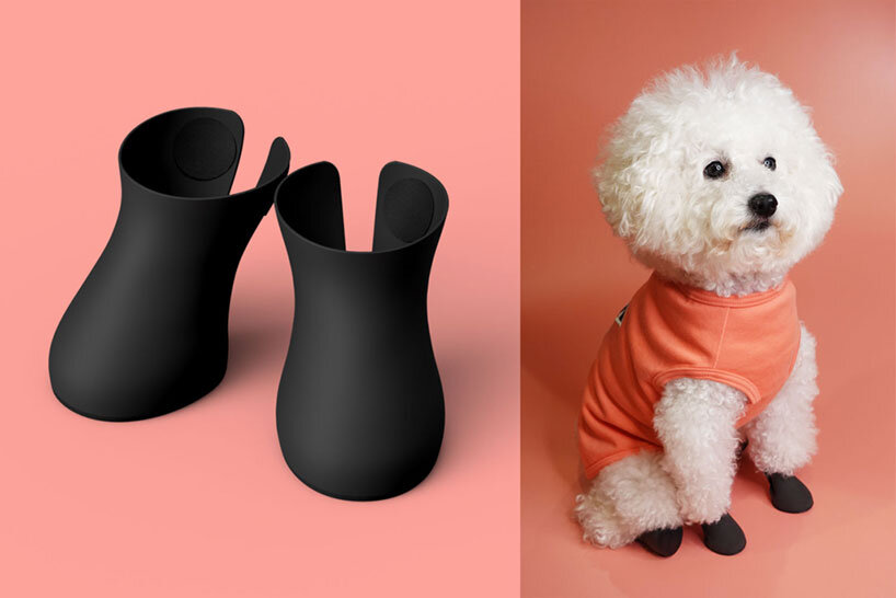 following street style of tokyo puppies, designers drop custom dogsoxx